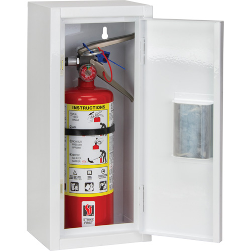 Indoor Fire Extinguisher Cabinet, 8" W x 18" H x 6" D Superchem Industries