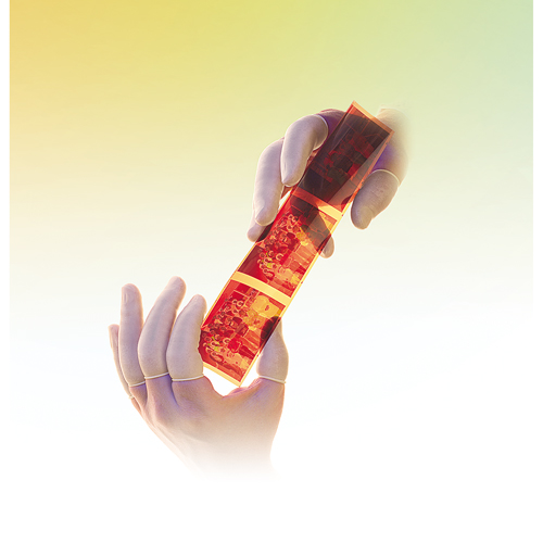 Doigtiers Qualatex en latex sans poudre QRP Superchem Industries