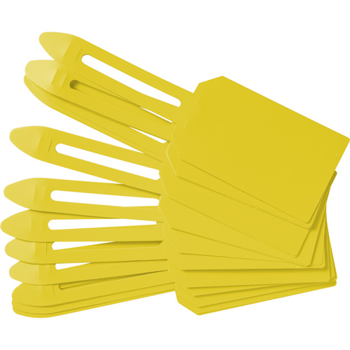 &eacute;tiquettes de cadenassage vierges en plastique, Plastique, 3-1/4" la x 5-4/5" h, Vierge Superchem Industries