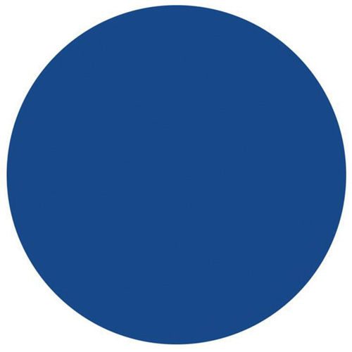Round Write-On Labels, Circle, 1.5" L x 1.5" W, Blue Superchem Industries