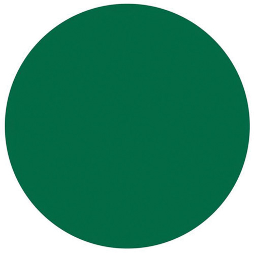 Round Write-On Labels, Circle, 3" L x 3" W, Green Superchem Industries