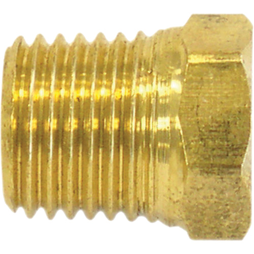 Bouchon de tuyau (t&ecirc;te hexagonale), 1/2" dia., Laiton Superchem Industries