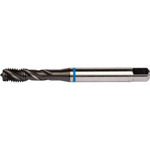 Taraud &agrave; cannelures h&eacute;licoidales Blue Shark, Acier rapide au cobalt, Filet de 1/4"-28, 3,15" l Superchem Industries