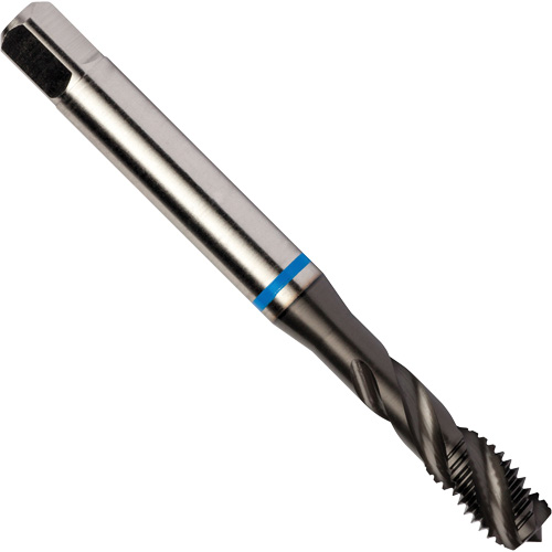 Taraud &agrave; cannelures h&eacute;licoidales Blue Shark, Acier rapide au cobalt, Filet de 1/4"-28, 3,15" l Superchem Industries