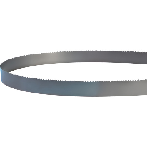 Welded Bandsaw Blade, Bi-Metal, 14' L x 1" W x 4 - 6 TPI Superchem Industries