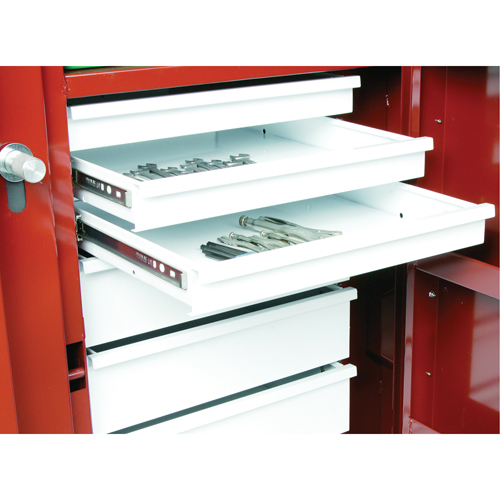 &eacute;tabli roulant, 49-7/8" la x 40-5/8" h x 26-7/8" p, Capacit&eacute; de 24,6 pi³ Superchem Industries
