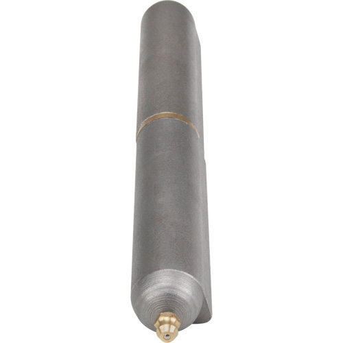 Charni&egrave;re &agrave; souder, 0,906" dia. x 7,874" lo, Acier doux a/goupille fixe en acier Superchem Industries