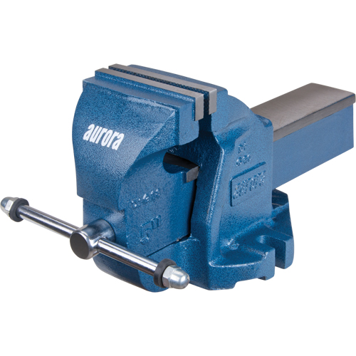 &eacute;tau d'&eacute;tabli robuste, Largeur des m&acirc;choires 5", Profondeur de la gorge 3-3/10" Superchem Industries