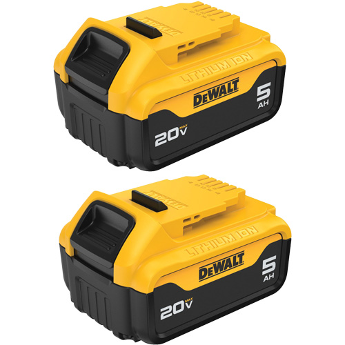 Bloc-piles Max XR Premium, Lithium-ion, 20 V, 5 A Superchem Industries