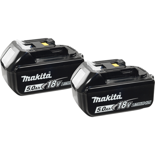 Batteries, Lithium-Ion, 18 V, 5.0 A Superchem Industries