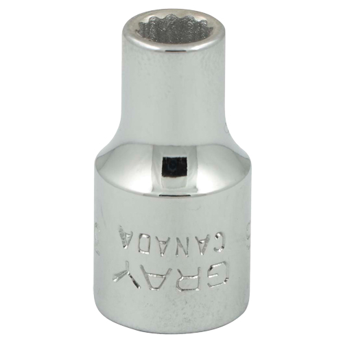 Socket, 3/16", 1/4" Drive, 12 Points Superchem Industries
