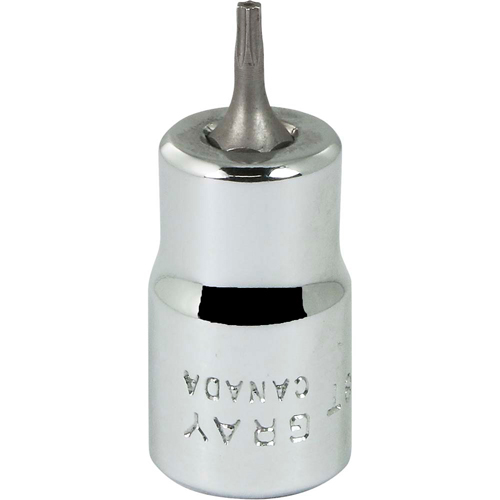 Douille &agrave; embout, Torx, T8 x 2-1/8" lo, Prise 3/8" Superchem Industries