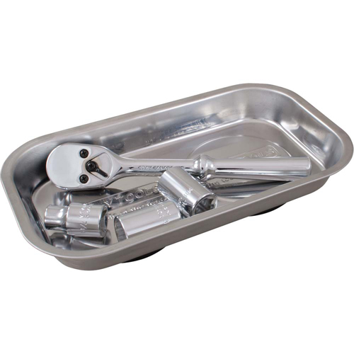 Rectangular Magnetic Tray, 11" L x 6" W Superchem Industries