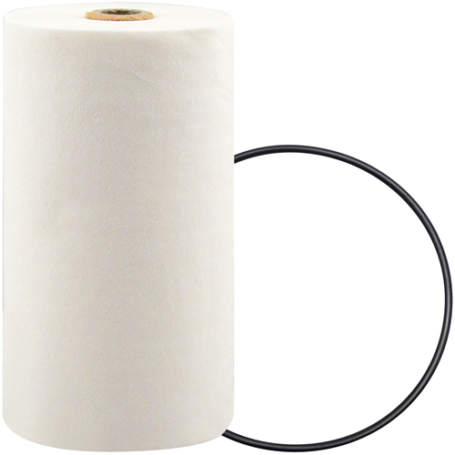 P7247 Filtre pour liquide de refroidissement &agrave; visser avec additif BTE Superchem Industries