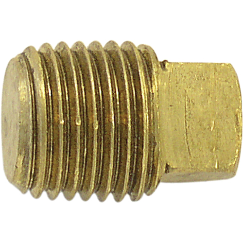 Bouchon de tuyau (t&ecirc;te carr&eacute;e), 1/4" dia., Laiton Superchem Industries