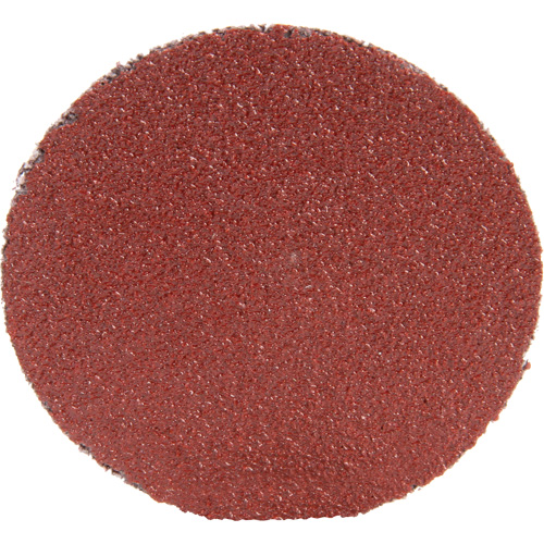 Roloc Disc 361F, 1-1/2" Dia., P100 Grit, Aluminum Oxide Superchem Industries