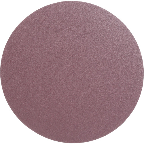 PSA Cloth Disc 348D, 12" Dia., 60 Grit, Aluminum Oxide, X-Weight Superchem Industries