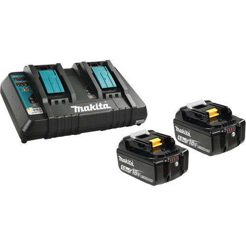 Li-Ion Battery & Dual-Port Charger Kit, 18 V, Lithium-Ion Superchem Industries