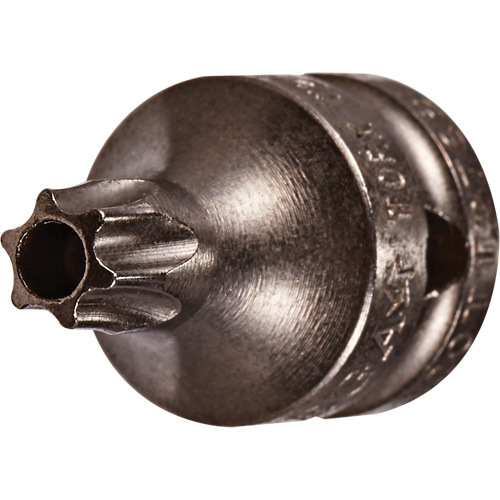 Embout &agrave; ins&eacute;rer, Torx inviolable, 8 x 3/4" lo, Prise 1/4" Superchem Industries