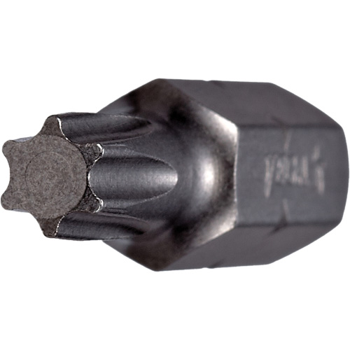 Insert Bit, Torx, 20, 1/4" Drive Superchem Industries