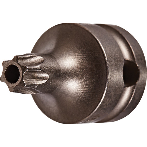 Socket Bit, Torx&reg; Tamper, 25 x 1" L, 3/8" Drive Superchem Industries