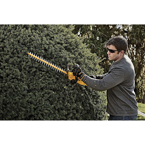 Max Cordless Hedge Trimmer, 22", 20 V, Battery Powered Superchem Industries