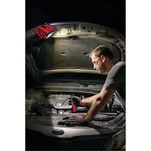 Projecteur d'illumination montable M12 ROVER, DEL, 250 W, 1000 lumens Superchem Industries