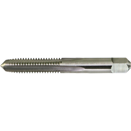 Taraud &agrave; main surdimensionnn&eacute; DRILLCO, Acier rapide, Filet 1/4"-20 Superchem Industries