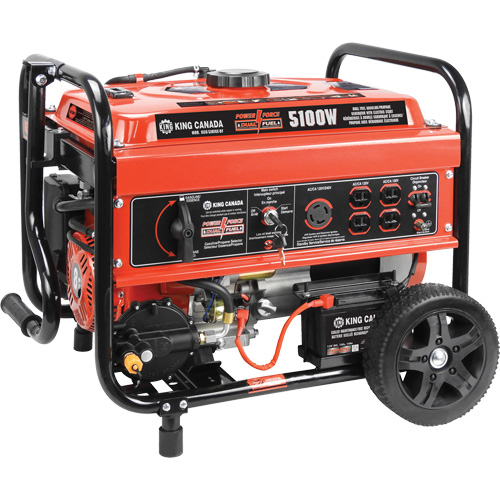 Gasoline/Propane Generator with Electric Start Superchem Industries