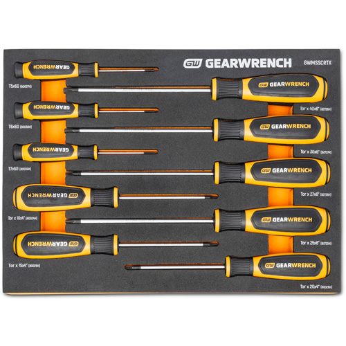 Jeu de tournevis bimat&eacute;riau Torx dans un plateau de rangement en mousse, 10 mcx Superchem Industries