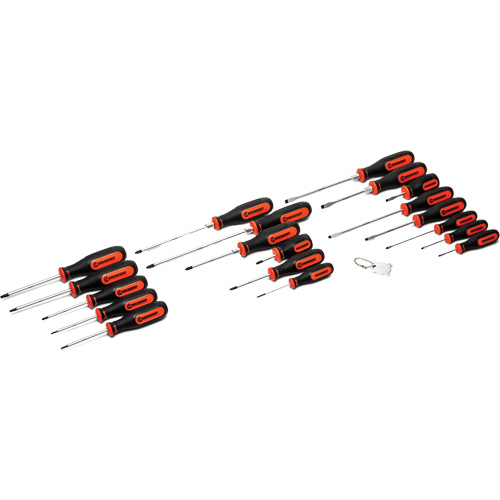 Dual Material Screwdriver Set, 20 Pcs. Superchem Industries