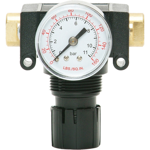 D&eacute;tendeur &agrave; piston en ac&eacute;tal MODULAIR 200, 1/4" NPT, PSI max. de 150 psi, Canalisation/Modulaire Superchem Industries