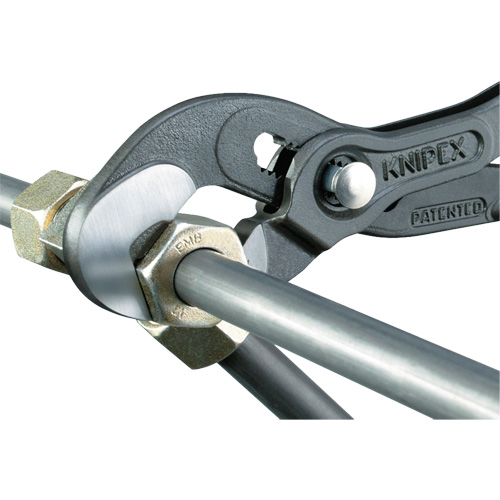 Pince Raptor, 10" Superchem Industries