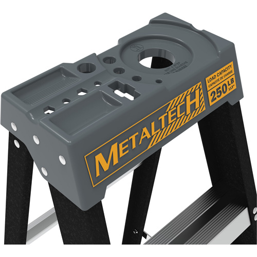 Escabeau avec plateau &agrave; peinture, 4', Fibre de verre, Capacit&eacute; 250 lb, Type 1 Superchem Industries