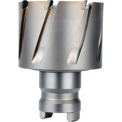 Quick Change Tang Drive Hawg&reg; Cutter, 2" Diameter, Steel, 1" Depth of Cut Superchem Industries