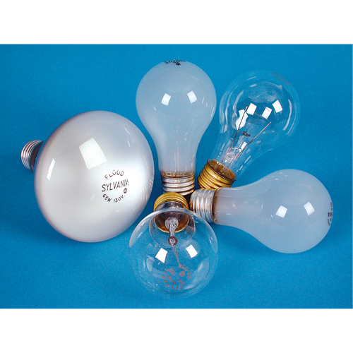 LAMPE INCANDESCENTE,25W,130V,GIVREE,2/PQT Superchem Industries