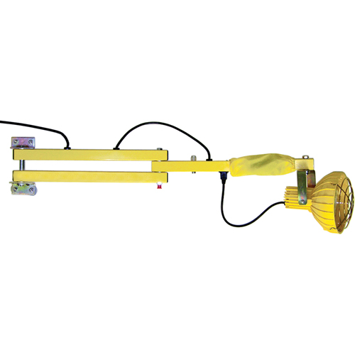 Dock Loading Lights with Flexible Arm, Incandescent Light, 60" Arm Superchem Industries