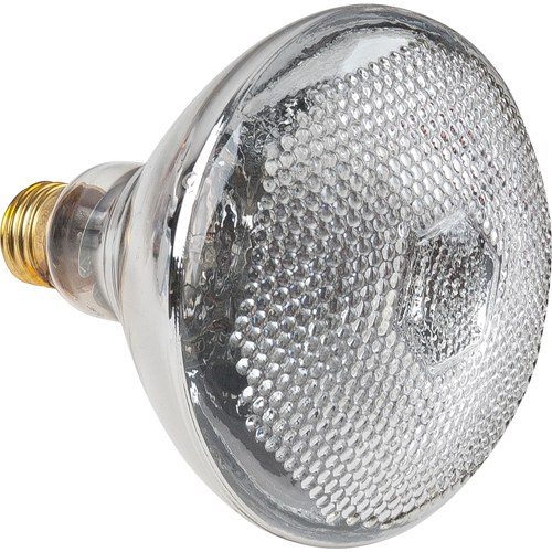 Economy Line Incandescent Lamps Superchem Industries