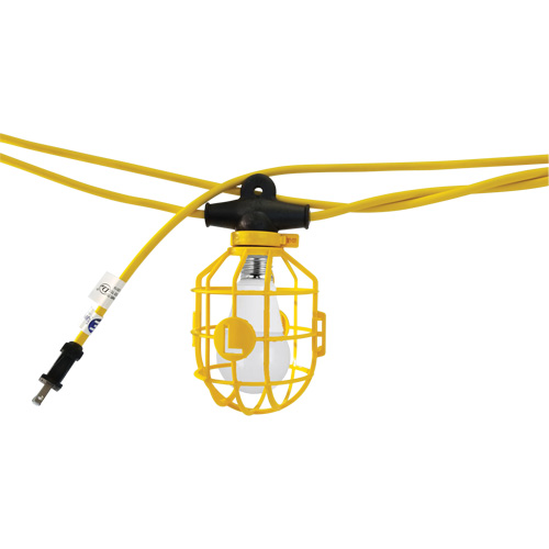Chaînes de lumi&egrave;res DEL avec connecteur, 10 Lumi&egrave;res, 1200" lo, Boîtier en Plastique Superchem Industries