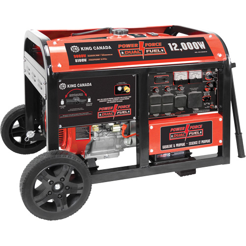 Gasoline/Propane Generator with Electric Start Superchem Industries