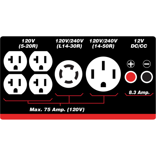 Gasoline/Propane Generator with Electric Start Superchem Industries