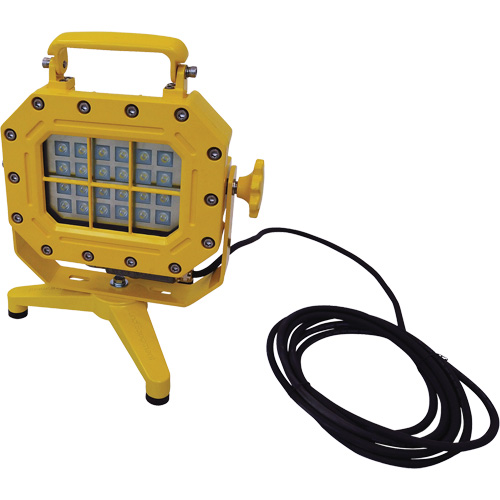 Explosion Proof Floodlight with Stand, LED, 40 W, 5600 Lumens, Aluminum Housing Superchem Industries