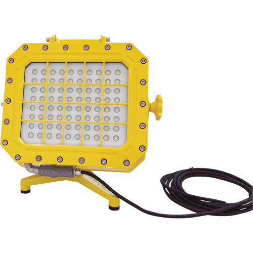 Explosion Proof Floodlight with Floor Stand, LED, 40 W, 5600 Lumens, Aluminum Housing Superchem Industries