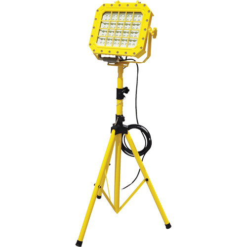 Diffuseur anti-d&eacute;flagration avec tr&eacute;pied, DEL, 40 W, 5600 lumens, Boîtier en Aluminium Superchem Industries