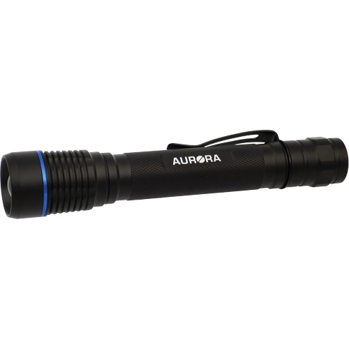 Lampe de poche IPX7, DEL, 250 lumens, Piles AA Superchem Industries