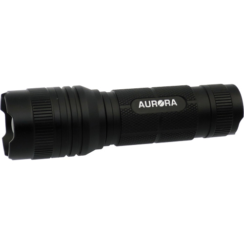 Lampe de poche IPX4, 500 lumens, Piles AAA Superchem Industries