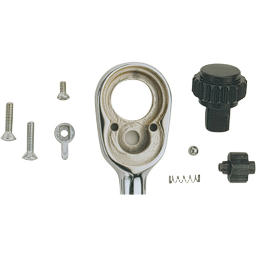Ratchet Repair Kit Superchem Industries