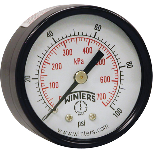 Economy Pressure Gauge, 2" , 0 - 160 psi, Back Mount, Analogue Superchem Industries