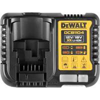 Chargeur de batterie, 20 V, Lithium-ion Superchem Industries