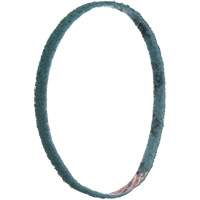 Scotch-Brite Surface Conditioning File Belts Superchem Industries